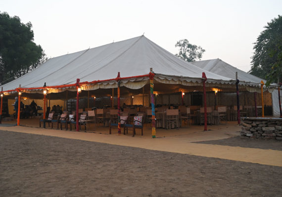 Pushkar Camp